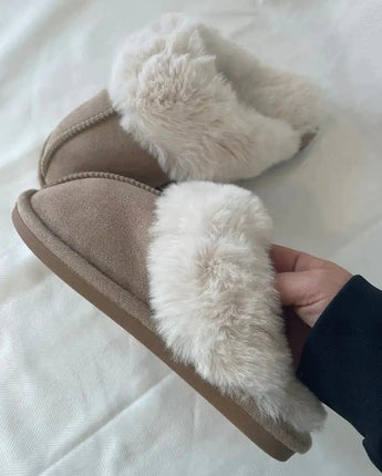 Coziness Flats